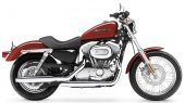 2005 Harley-Davidson XL 883 Sportster photo